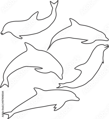 Collection of dolphin line drawings, sleek ocean animals in various poses, vector art for marine designs
