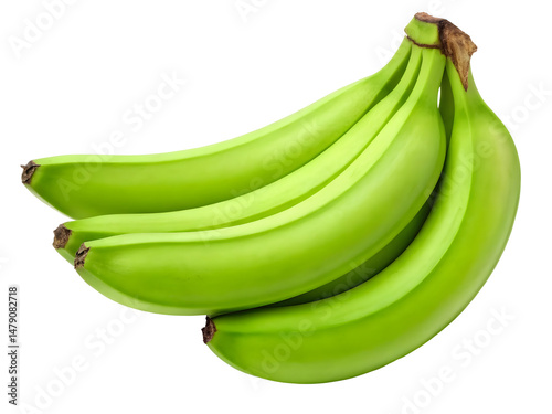 Bunch of green plantains freshly harvested on a black background for culinary use