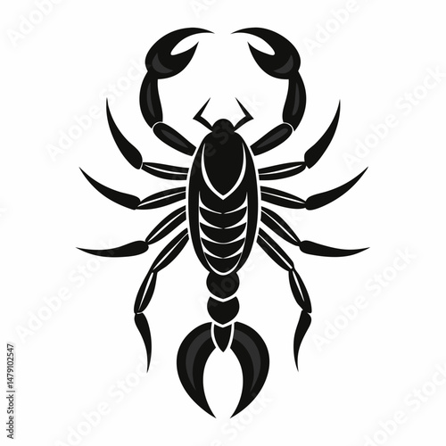 scorpion insects vector silhouette 