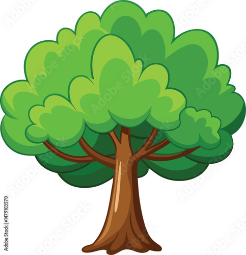 Green vector of a forest beech tree with white background.