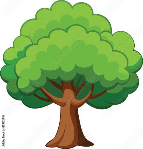Green vector of a forest beech tree with white background.