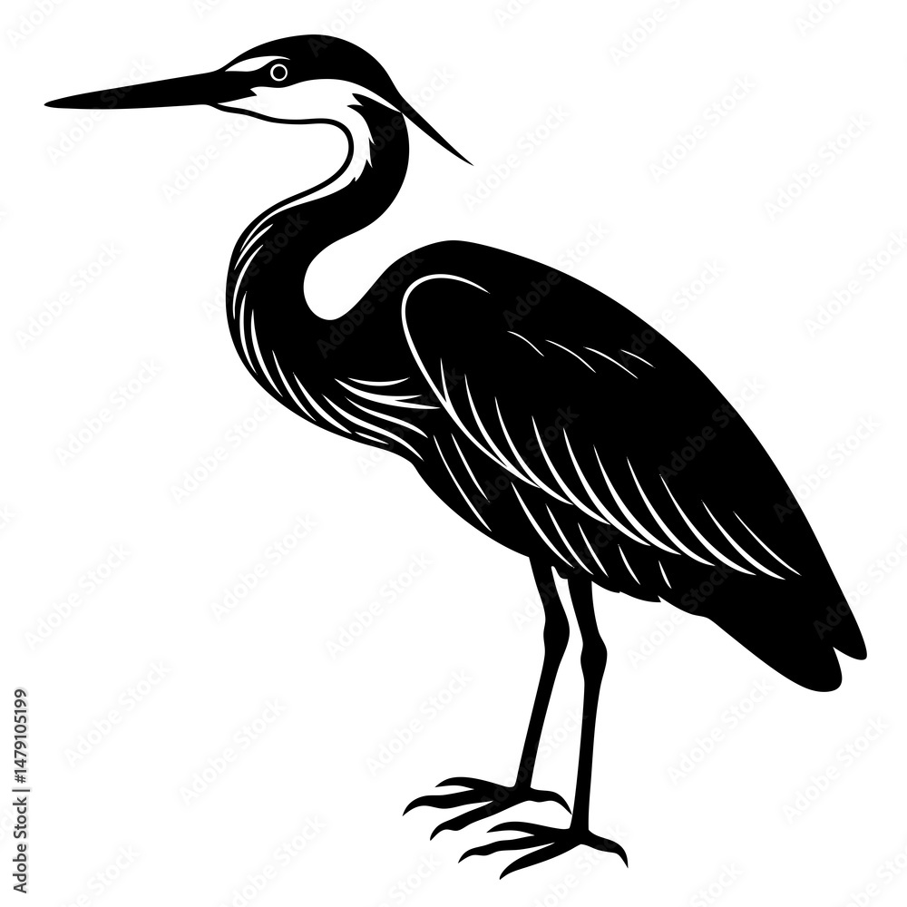 Obraz premium heron vector silhouette