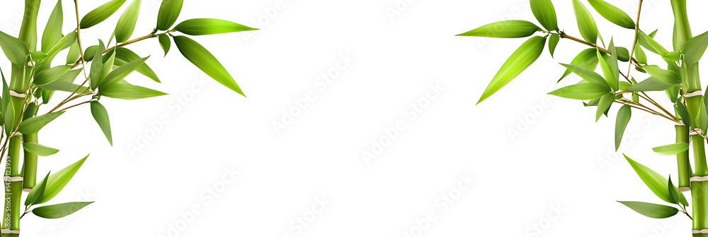 Fototapeta premium Bamboo stalks with green leaves on transparent background png cutout