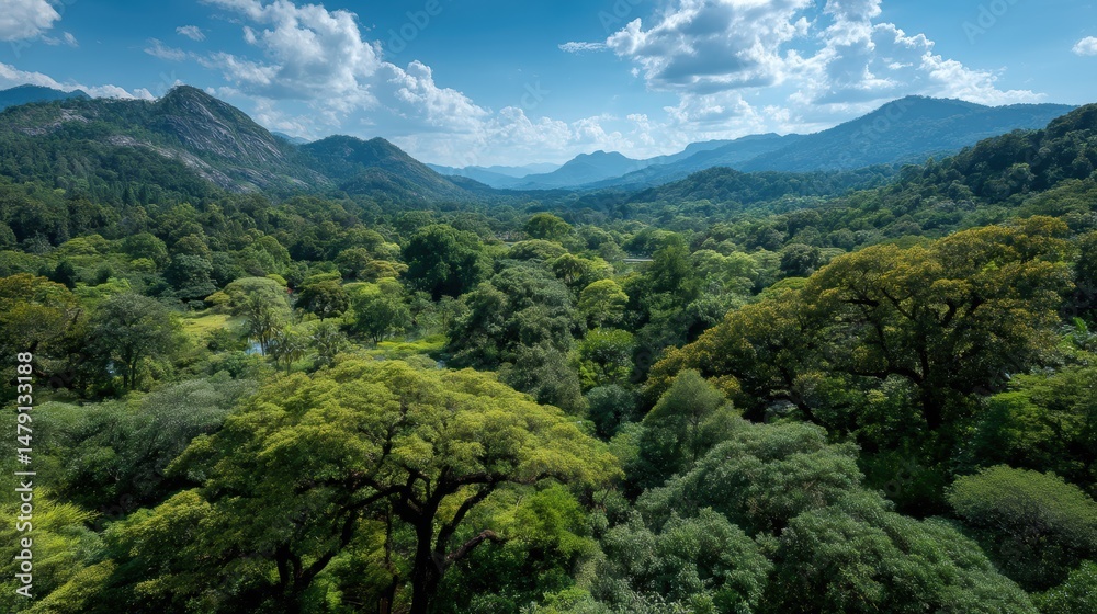 Fototapeta premium A nature reserve with trees, showcasing conservation efforts and promoting eco-friendly travel.