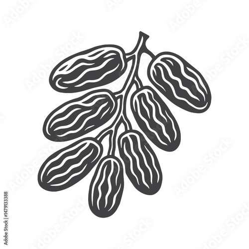 Dates fruit on branch thick black ink vintage style