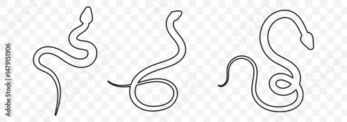 Spiral crawling snake line icon. Outline hand drawn vintage sketch of serpent animal, wildlife nature element design. Wild reptile, predator mascot, simple snake silhouette vector illustration. EPS 10