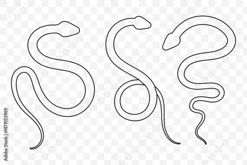 Spiral crawling snake line icon. Outline hand drawn vintage sketch of serpent animal, wildlife nature element design. Wild reptile, predator mascot, simple snake silhouette vector illustration. EPS 10