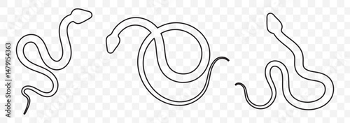 Snake icon. Snake silhouette vector. EPS 10