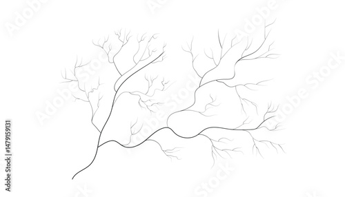 Human blood vessels. eye veins. capillaries. tree roots. thunderstorm. vector illustration