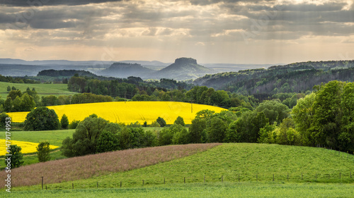 in the intoxication of colors - im Rausch der Farben
