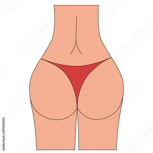 Vector illustration of Brazilian Buttocks in bikini isolated transparent. Perfect flat model plastic surgery. Vector for medical plastic clinic poster flyer advertising banner cover template design. 