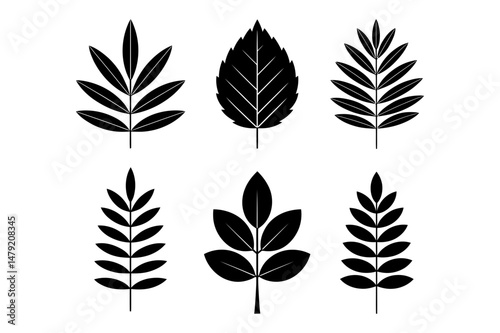 Botanical leaves vector design nature illustration