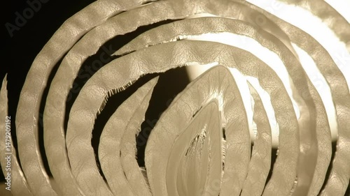 Delicate Translucent Layers Forming An Abstract Organic Composition Close Up photo