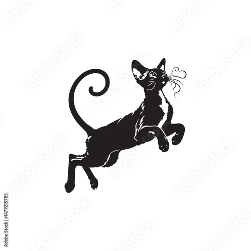 Принти на полотні Cornish Rex Cat Vector Silhouette: Sleek and Curly-Coated Feline Design Highlighting the Breed’s Distinctive Ears, Wavy Fur, and Slender Frame in a Minimalist Vector Art Style