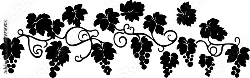 silhouette of grapes on a vine