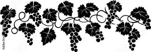 silhouette of grapes on a vine