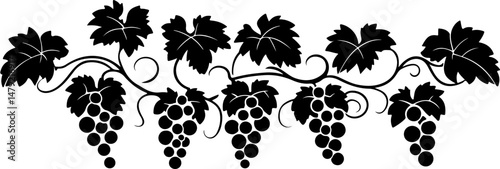 silhouette of grapes on a vine