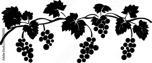silhouette of grapes on a vine