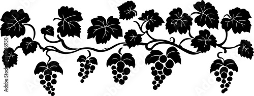 silhouette of grapes on a vine