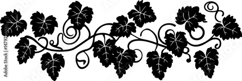 silhouette of grapes on a vine