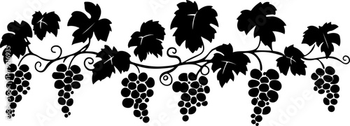 silhouette of grapes on a vine
