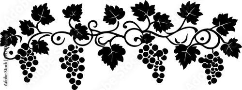 silhouette of grapes on a vine