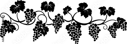 silhouette of grapes on a vine
