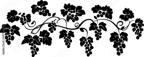 silhouette of grapes on a vine