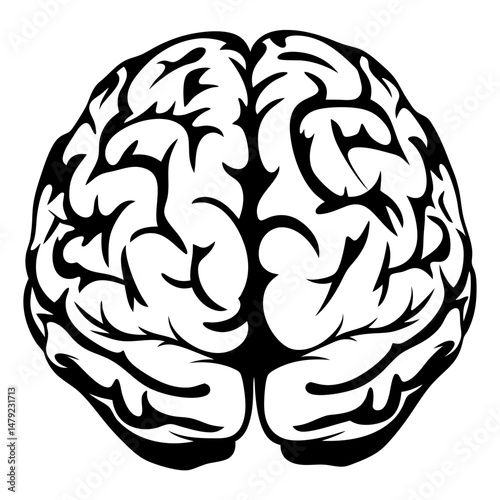 Abstract Illustration of a Human Brain with Distinct Lobes and Complexity
