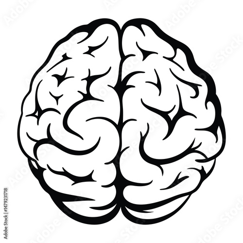 Minimalist Brain Illustration Depicting Intelligence, Thought Processes, and Neurology in Detail