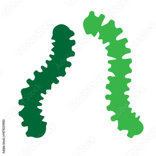 microba icon