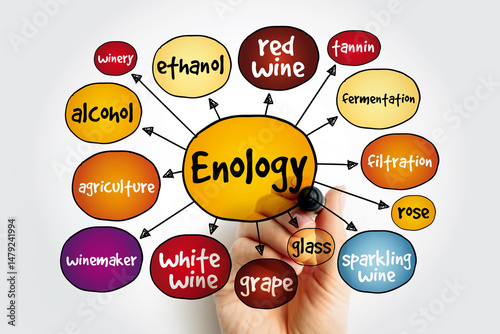 Enology is the science and study of wine and winemaking, mind map concept background