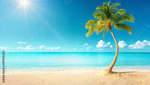Clear blue ocean, sandy beach, and a leaning palm tree under bright sunlight on a beautiful tropical day