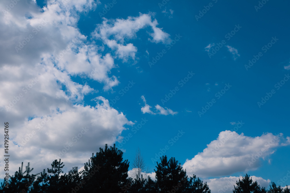 Obraz premium Blue sky and clouds in sunny day. Clear blue sky with faint, fluffy white clouds scattered lightly.