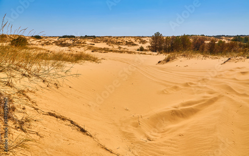 Fototapeta Naklejka Na Ścianę i Meble -  Sand Dunes with Tire Tracks, Oleshky Sands