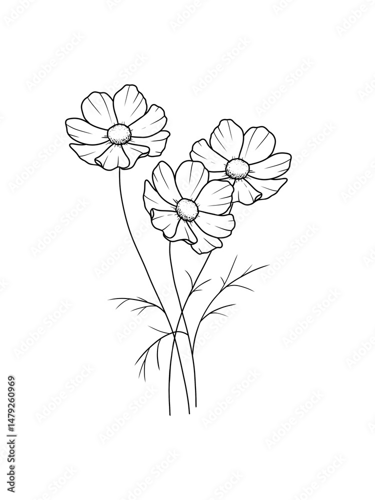 Obraz premium Bouquet of flowers chamomile outline drawing hand drawn white background