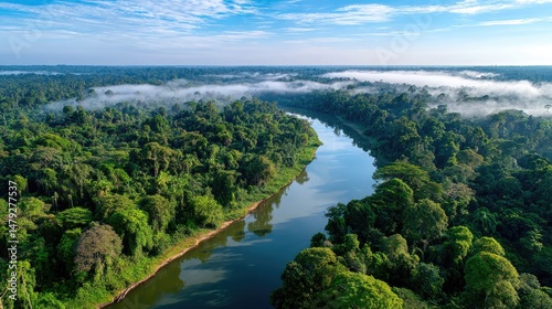 Wallpaper Mural drone view of a winding river cutting through a dense, tropical rainforest Torontodigital.ca