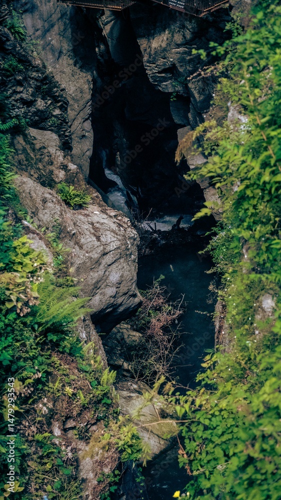 Obraz premium Fleuve 2