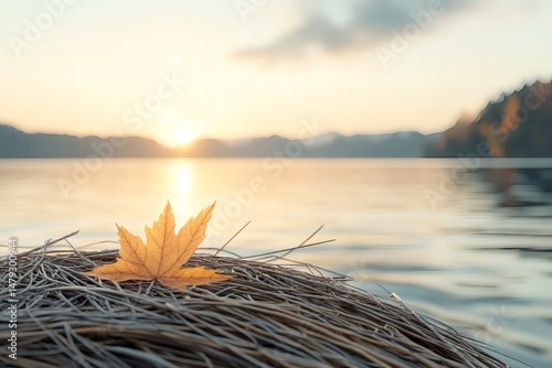 Autumn Maple Leaf on Twigs by the Lake at Sunset