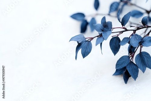 Blue Botanical Leaves on White Background