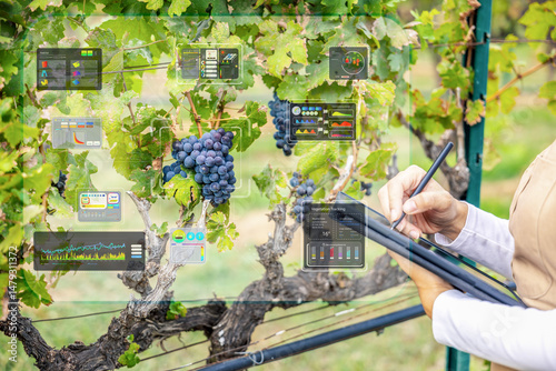 Fotografie Smart vineyard system with winegrower working with digital graphic display