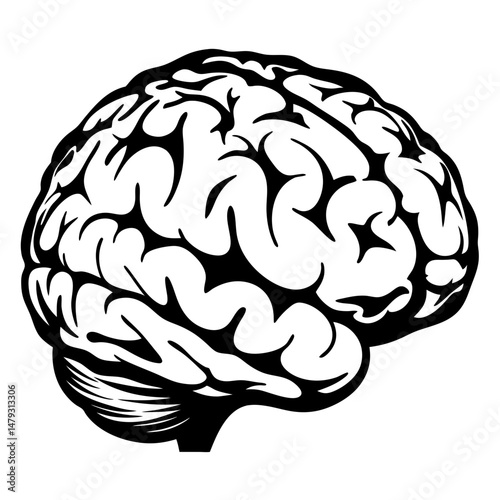 Detailed monochrome human brain illustration, showing anatomical structures and complex cerebrum