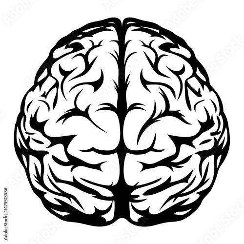 human brain vector illustration