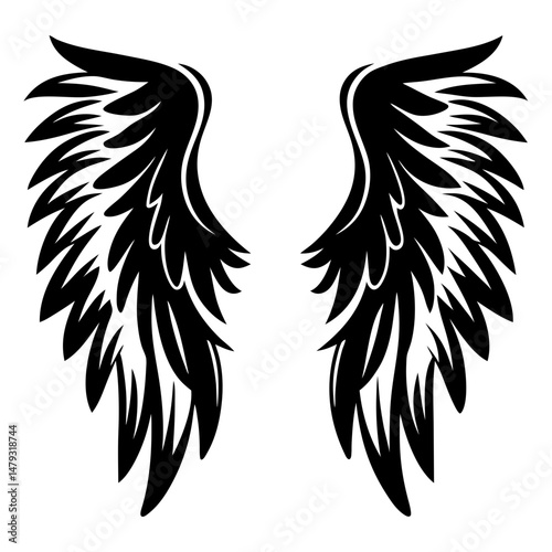 Detailed black and white vector wings illustration, a design element of flight