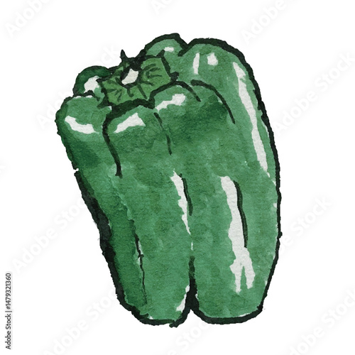 Watercolor illustration of bell peppers like a picture postcard　絵手紙のようなピーマンの水彩イラスト
