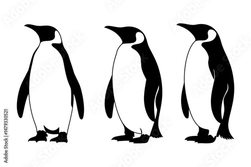 Three emperor penguins antarctic wildlife illustration