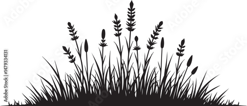 grass silhouette vector