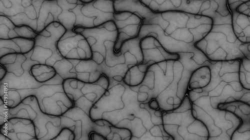Continuously changing forms. Studying the microcosm of life.