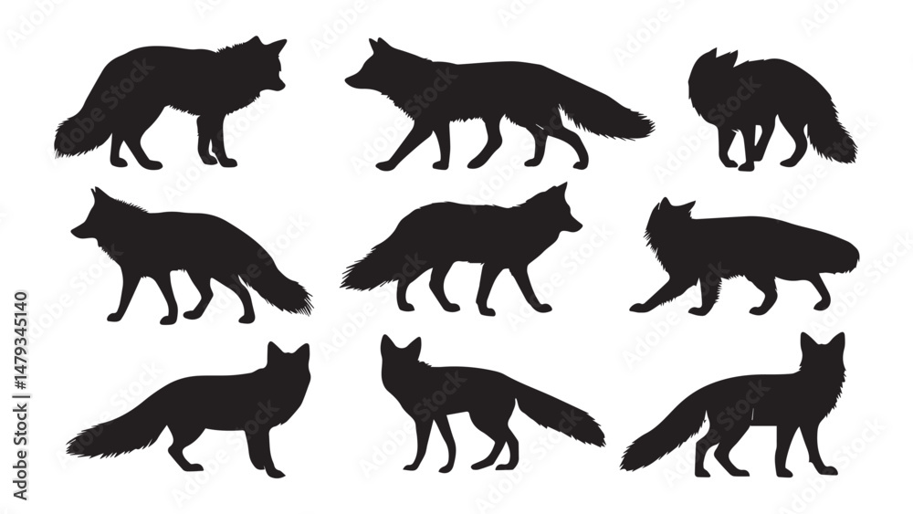 Obraz premium Fox Silhouettes 9 Black White Images