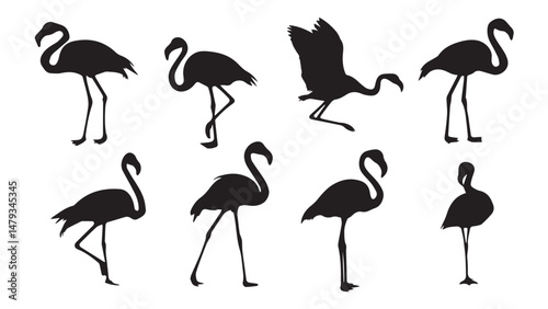 Flamingo Silhouettes Clipart  Vectors